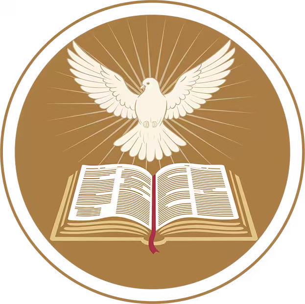 菲比大卫的成长乐园---Phoebe & David’s Adventure